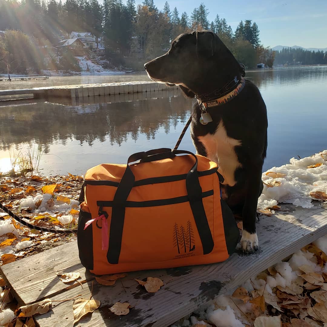 grab n' go dog bag