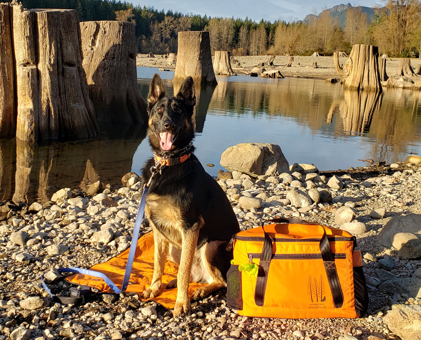 grab n' go dog bag