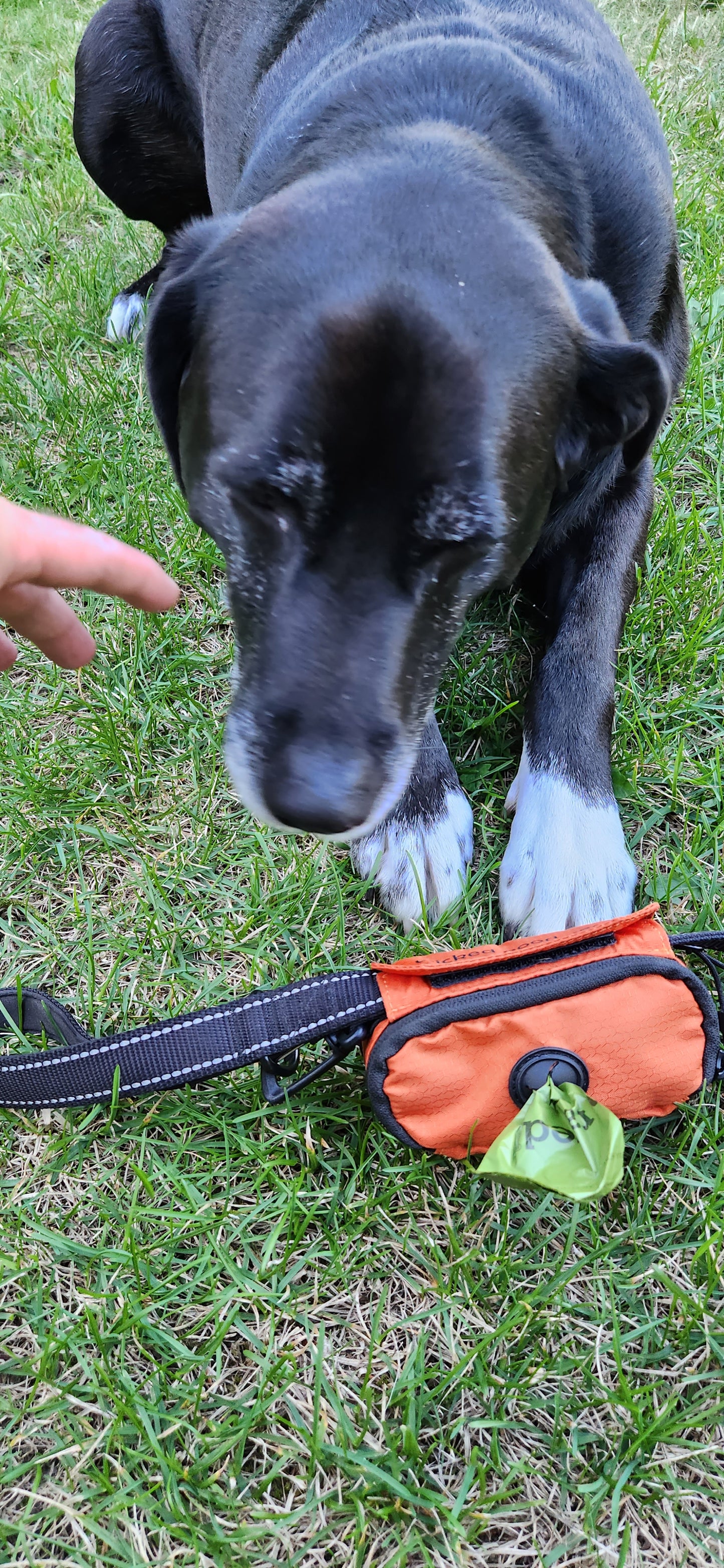 dog poop bag dispenser & load holder