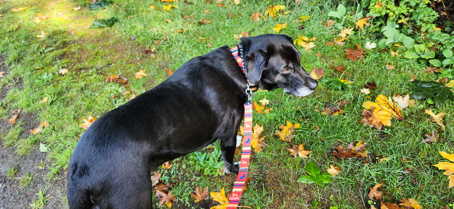 dog leash