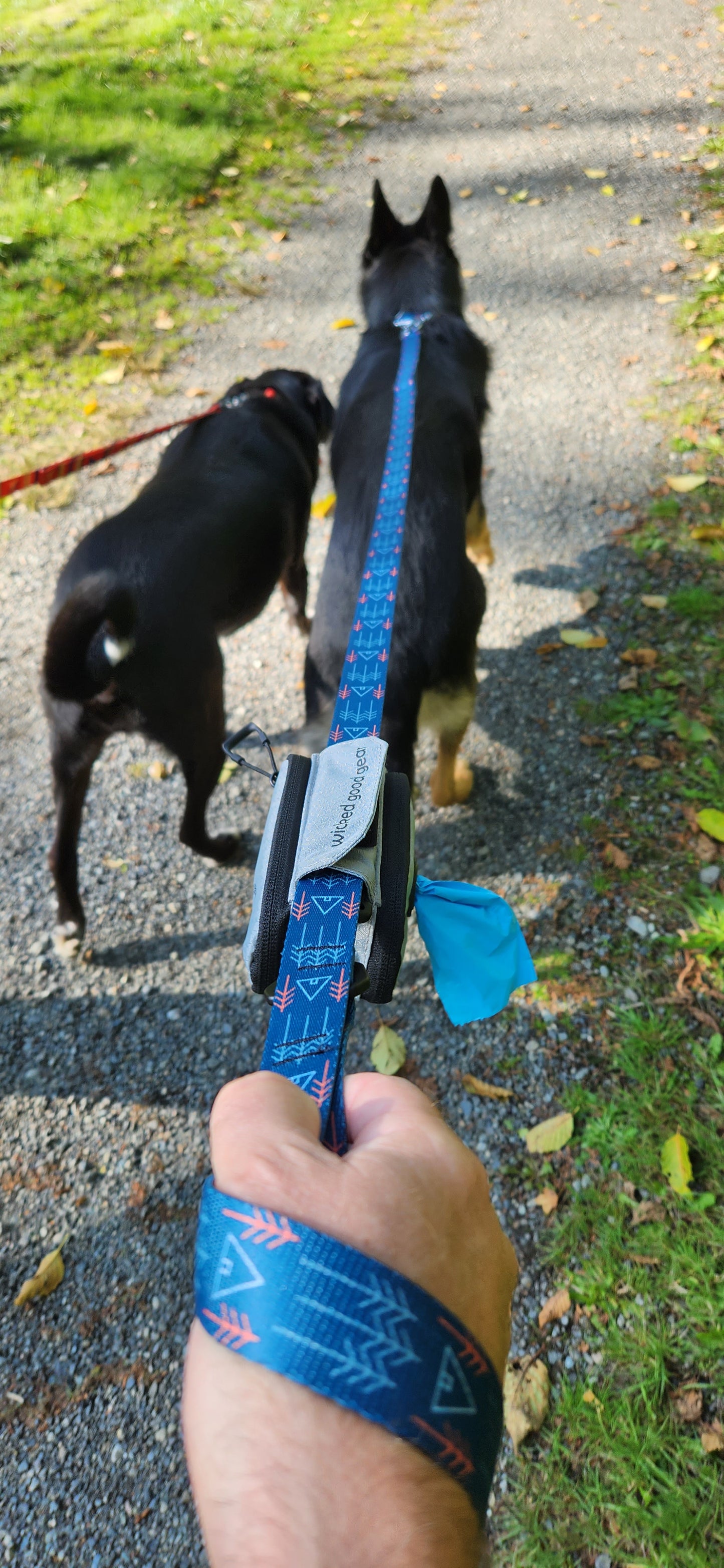 dog leash