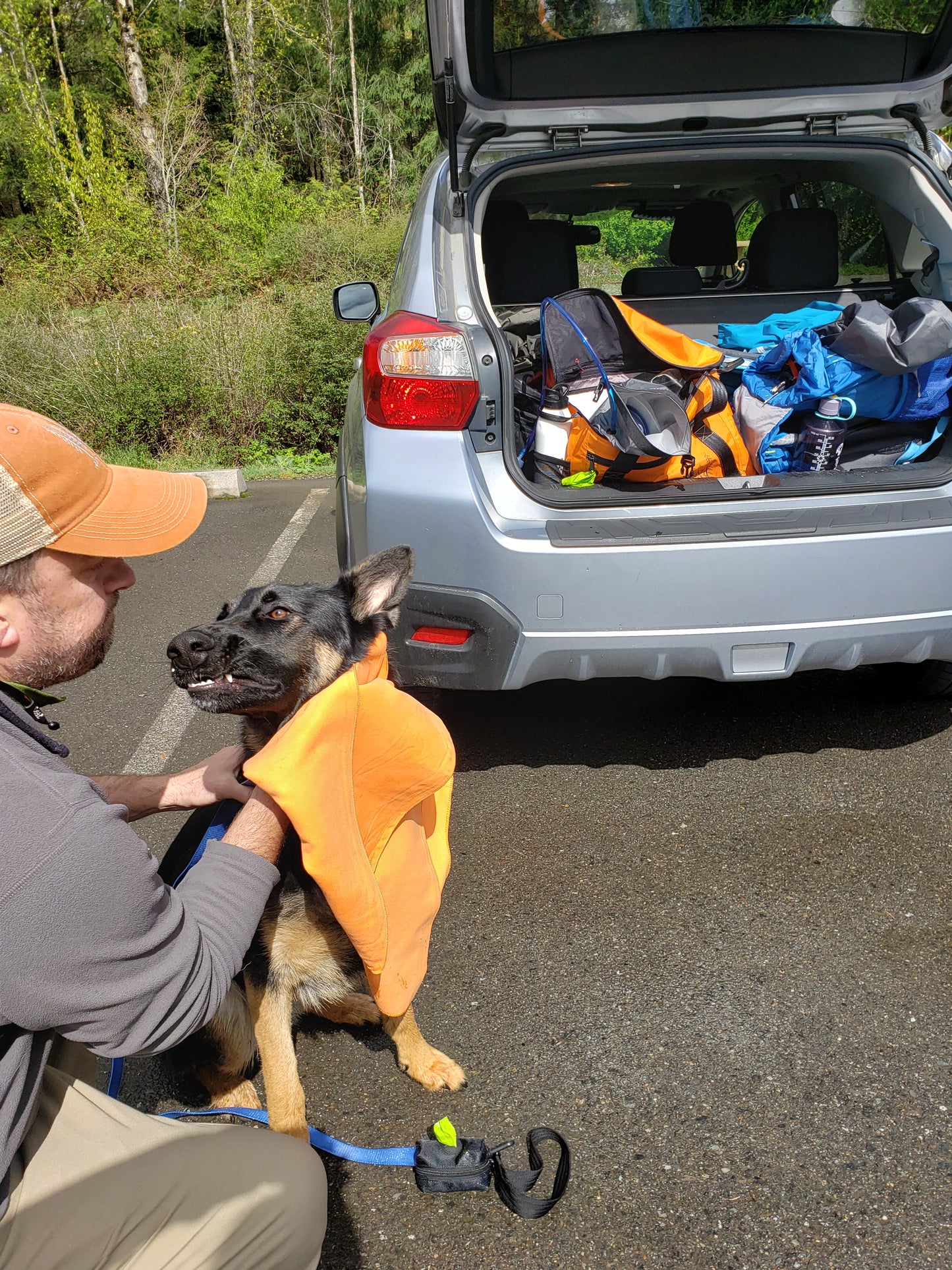 grab n' go dog bag