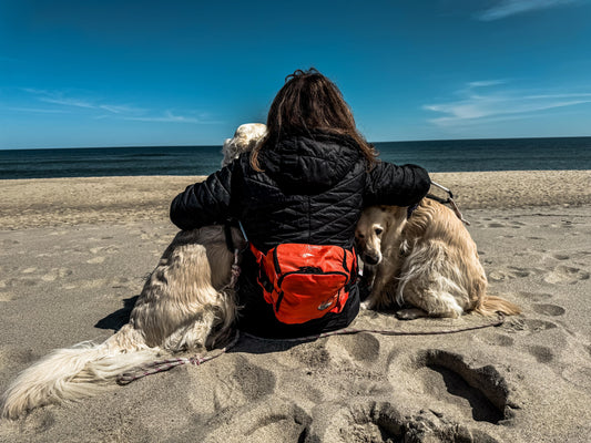 fanny pack - burrito II