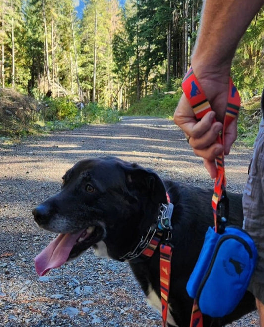 dog poop bag dispenser & load holder