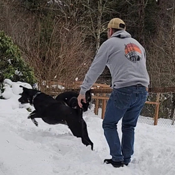 hoodie - unisex pullover