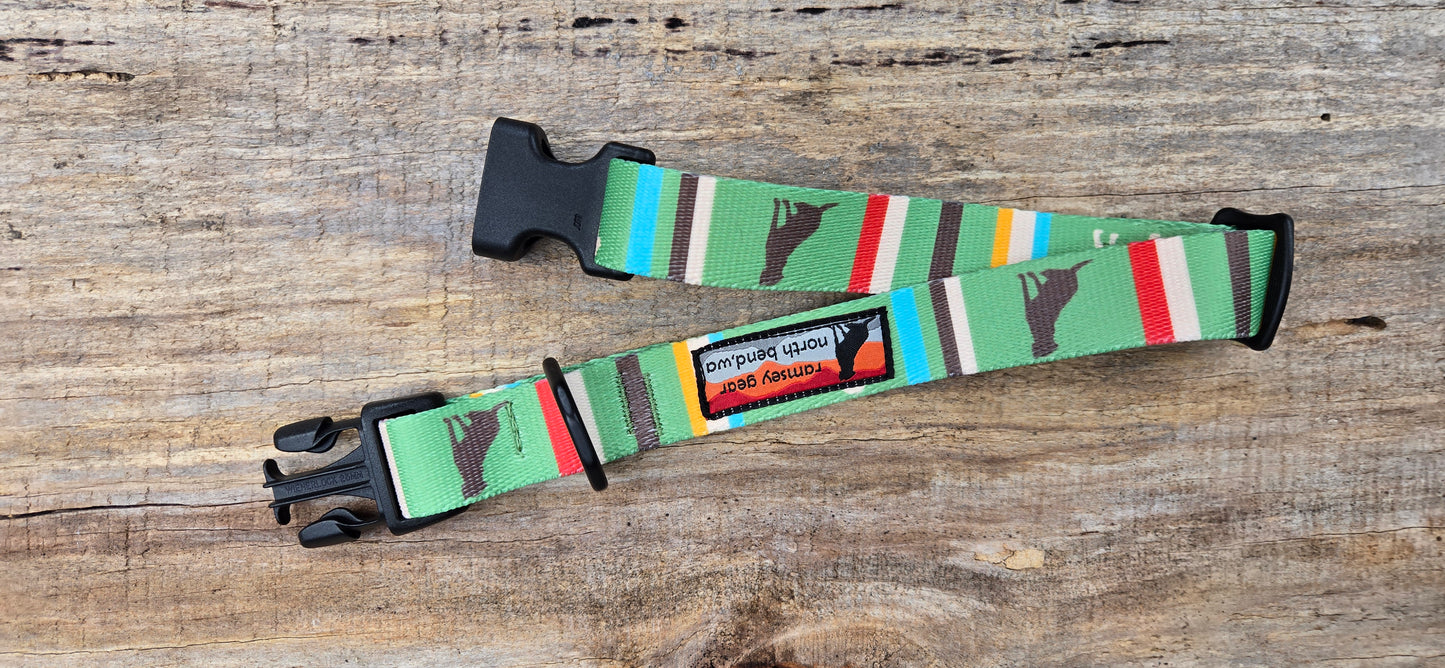 dog collar - 1"