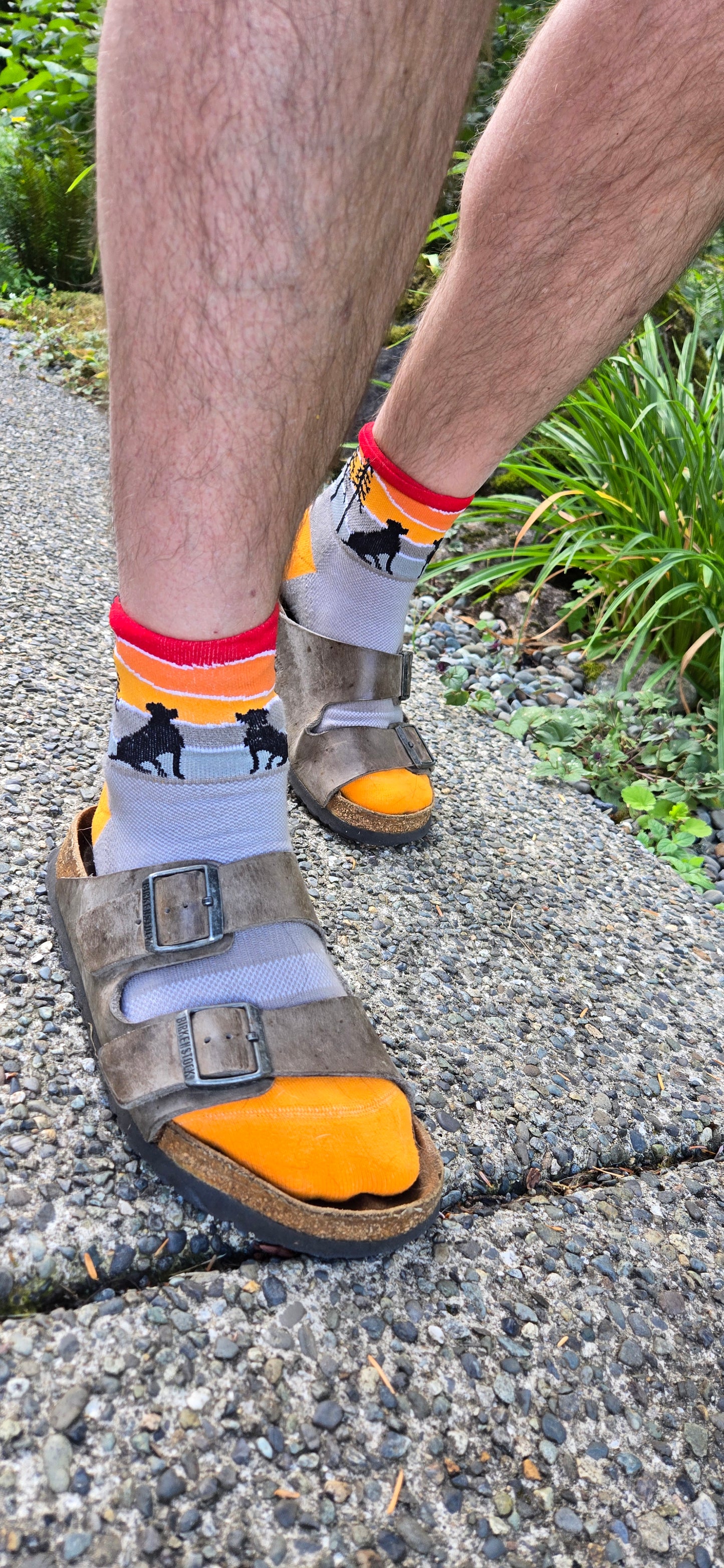 socks