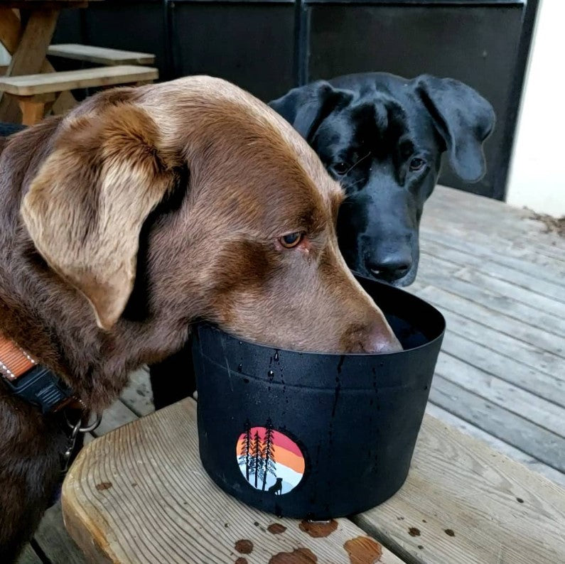 dog travel bowls