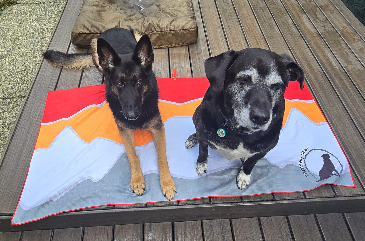 beach towel - large