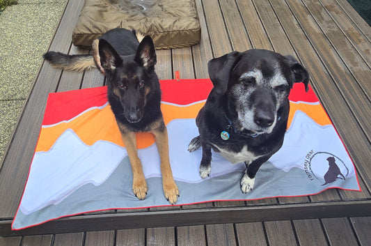 beach towel - large