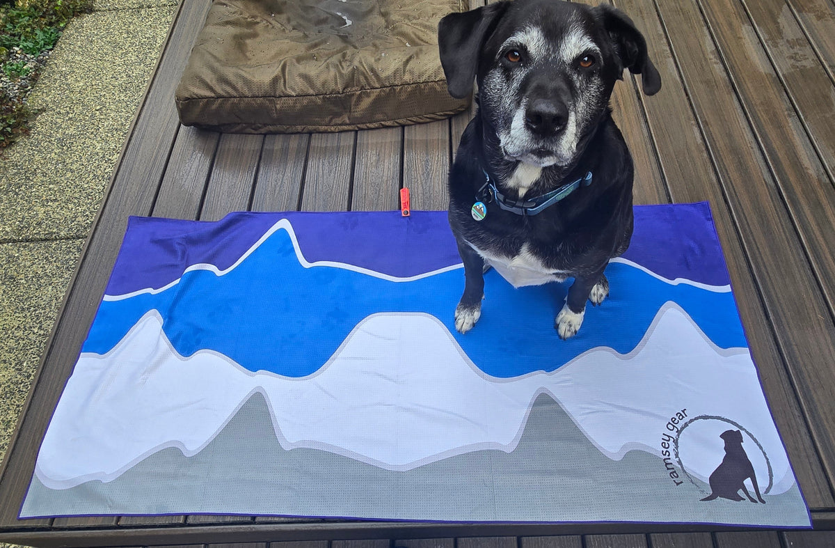 beach towel - large