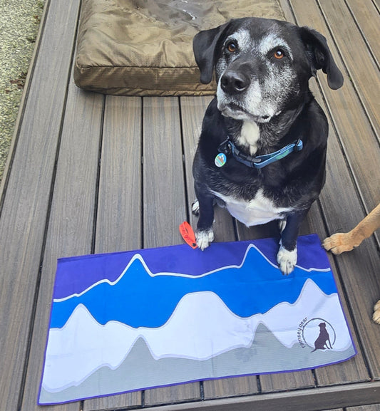 dog towel - small